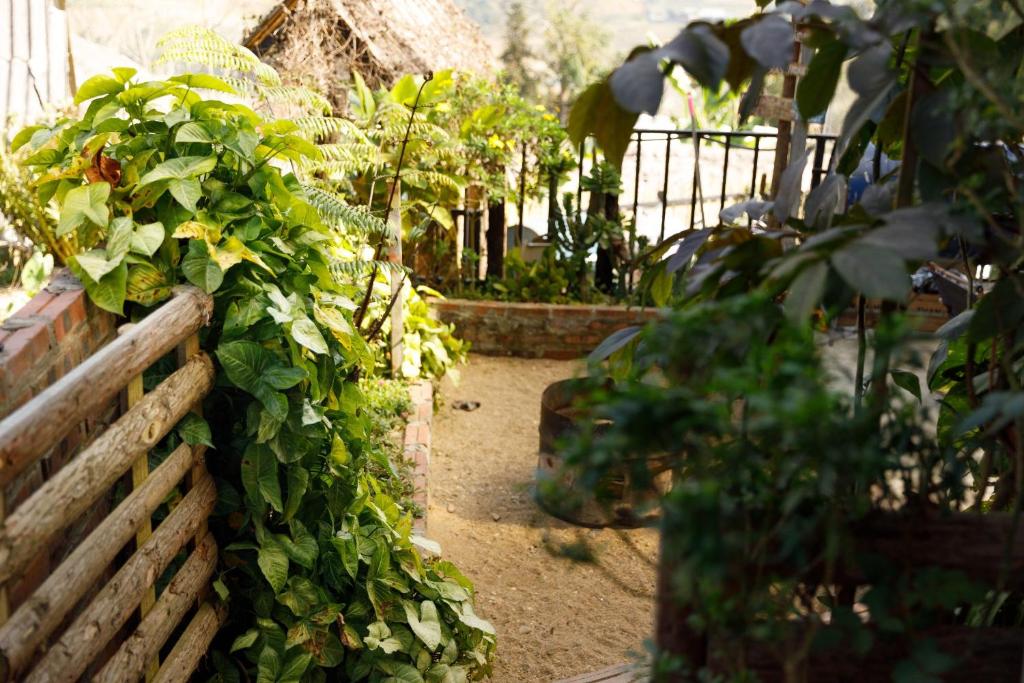 Zahrada ubytování Sapa Plum Eco House