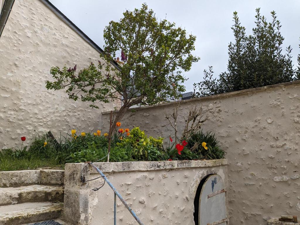 Zahrada ubytování La Sourcière Beaugency