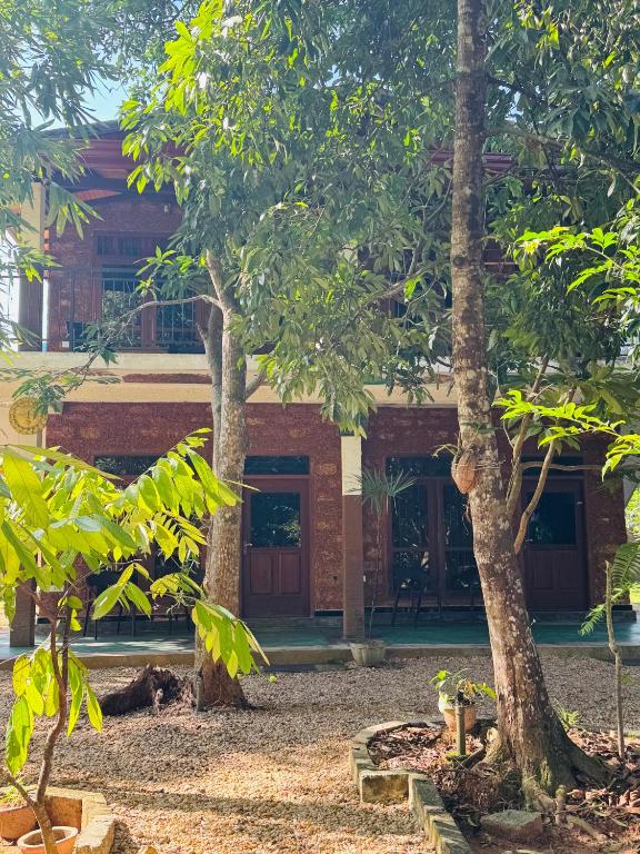 Zahrada ubytování Hela Gedara Villa Beruwala