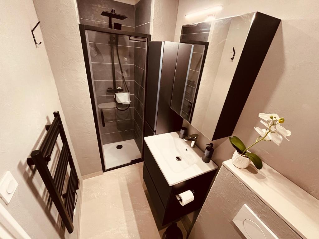 une petite salle de bain avec un lavabo et une douche dans l'établissement Noble Escale, Plage et Parking, à La Grande Motte