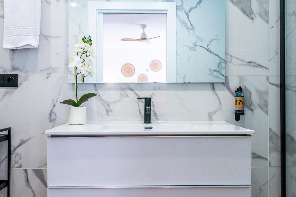 Apartamentos Cibeles Centro Histórico, Nuevo Establecimiento - 7