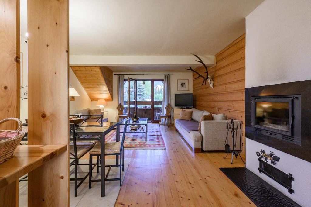 a living room with a couch and a fireplace at Apartament W Dolinie Słońca & SPA in Kościelisko