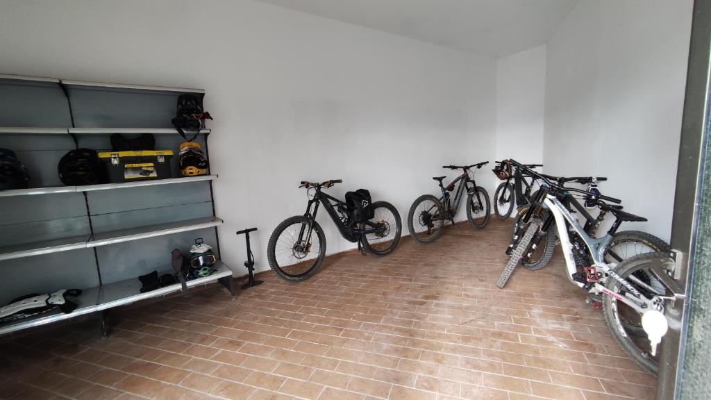 Jízda na kole v ubytování Apartments Giovannini nebo okolí