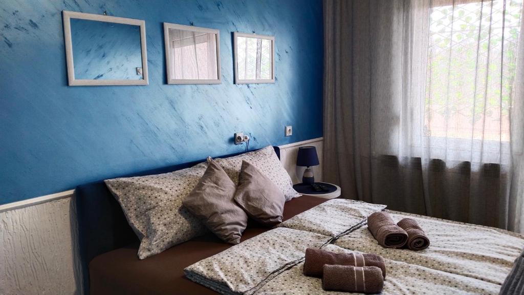 Postel nebo postele na pokoji v ubytování Lela's home (Lelin dom)