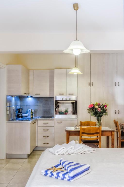 Kuchyň nebo kuchyňský kout v ubytování Rouchotas Apartments