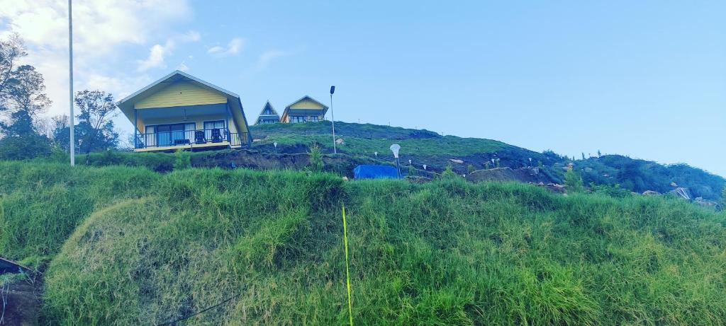 Příroda nedaleko luxury tent