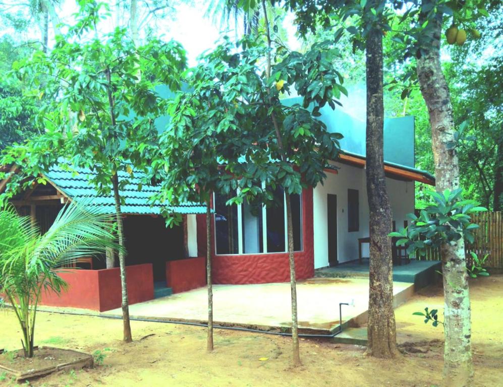 a house in the middle of a forest with trees at gramatic dream cottage in Udawalawe