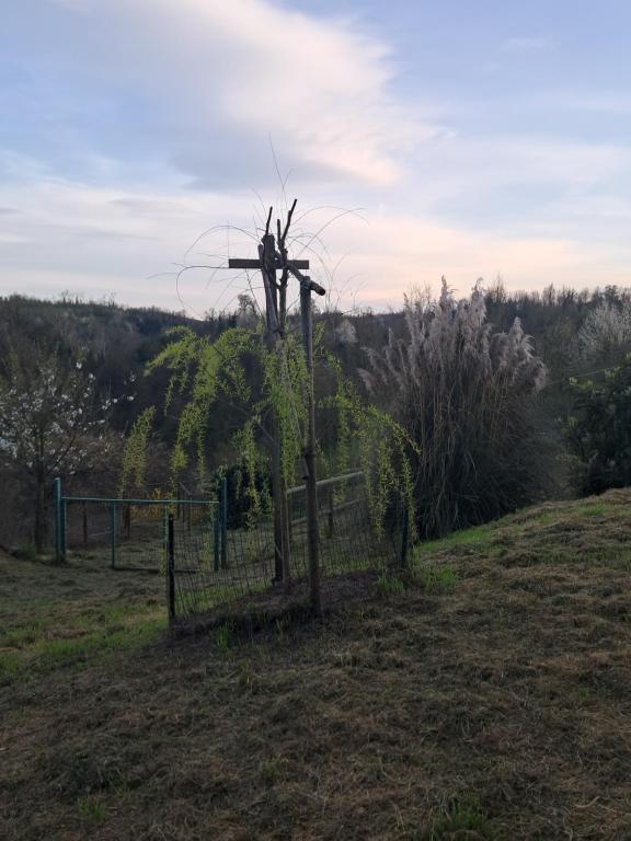 Příroda nedaleko venkovského domu