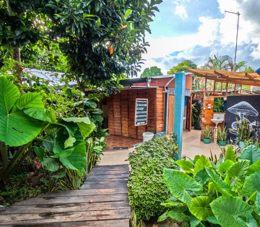Zahrada ubytování Hostel Casa de las Palmas Tours