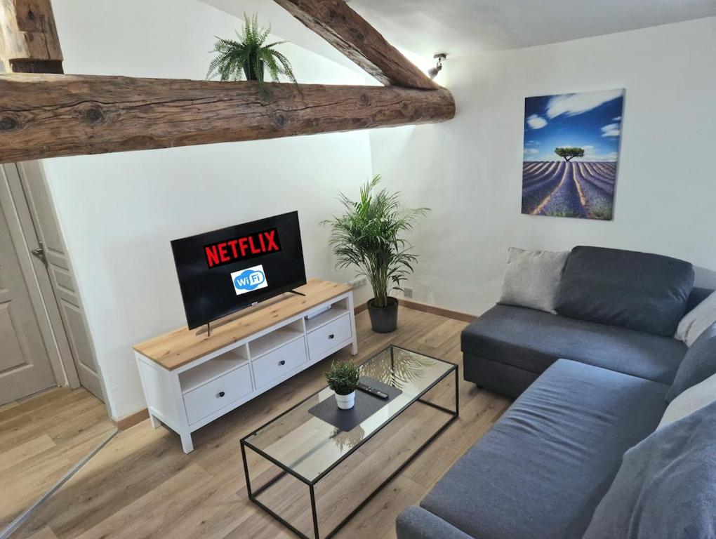un salon avec un canapé et une télévision dans l'établissement Magnifique T4 intra-muros centre, à Avignon