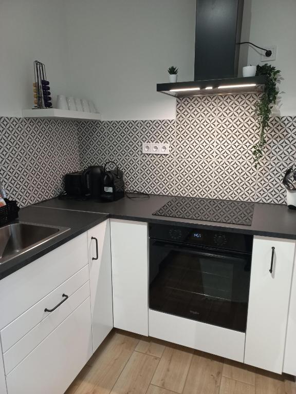 Kuchyň nebo kuchyňský kout v ubytování Dunakorzo Apartman
