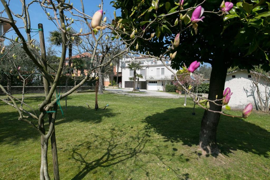 Zahrada ubytování Hotel Olimpia