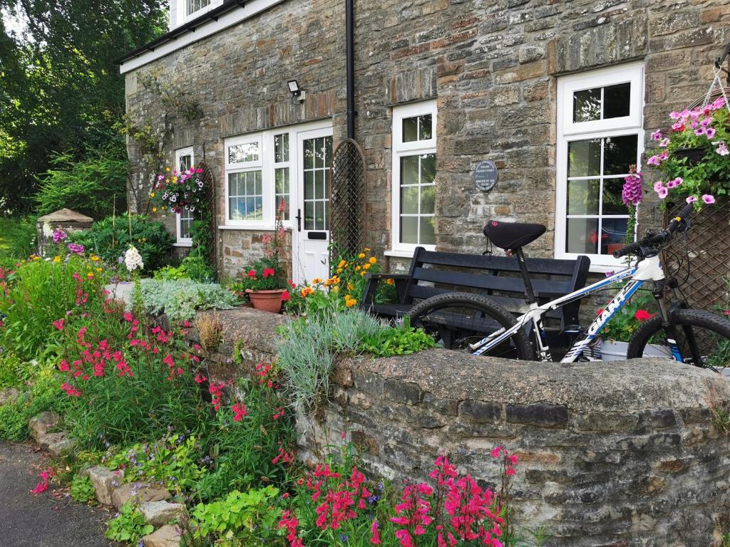 Swansea Valley Holiday Cottages - 