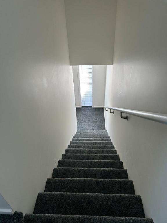 Apartment 4 on Armagh! - Resim 12