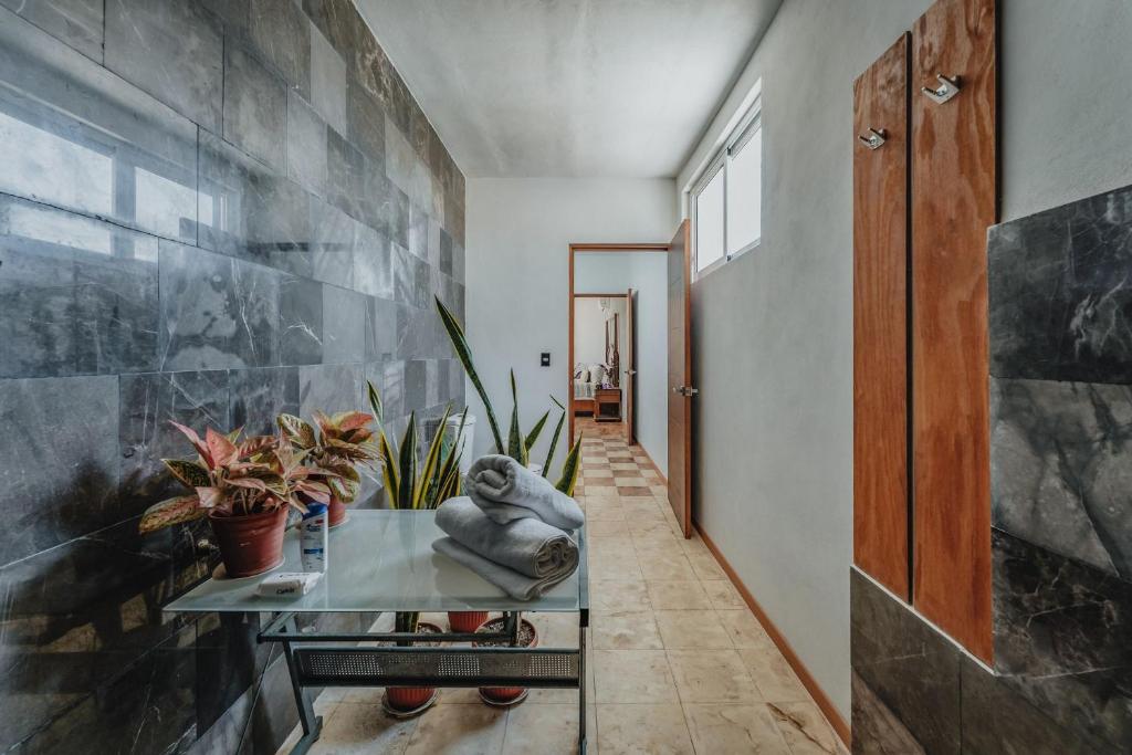 Fotografie z fotogalerie ubytování Amplia Habitación Privada Centro v destinaci Mérida