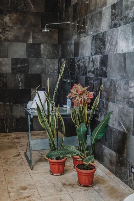 Fotografie z fotogalerie ubytování Amplia Habitación Privada Centro v destinaci Mérida