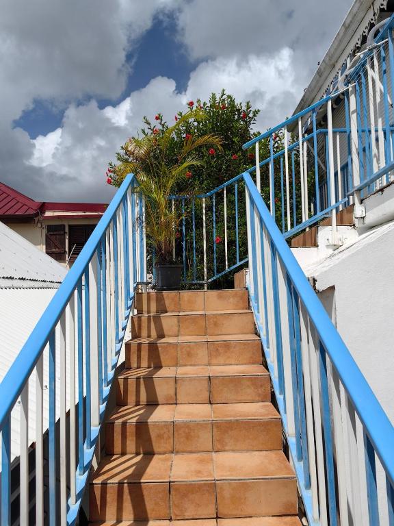 Fotografie z fotogalerie ubytování Le cocotier bleu v destinaci Sainte-Anne