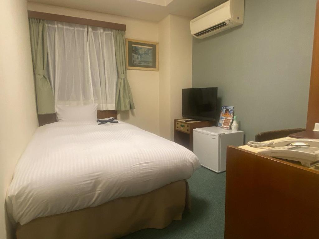 TV a/nebo společenská místnost v ubytování Hotel Tateshina