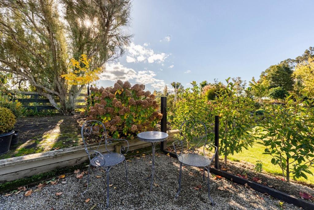 Potager B&B- Waiohine- Greytown - Resim 14