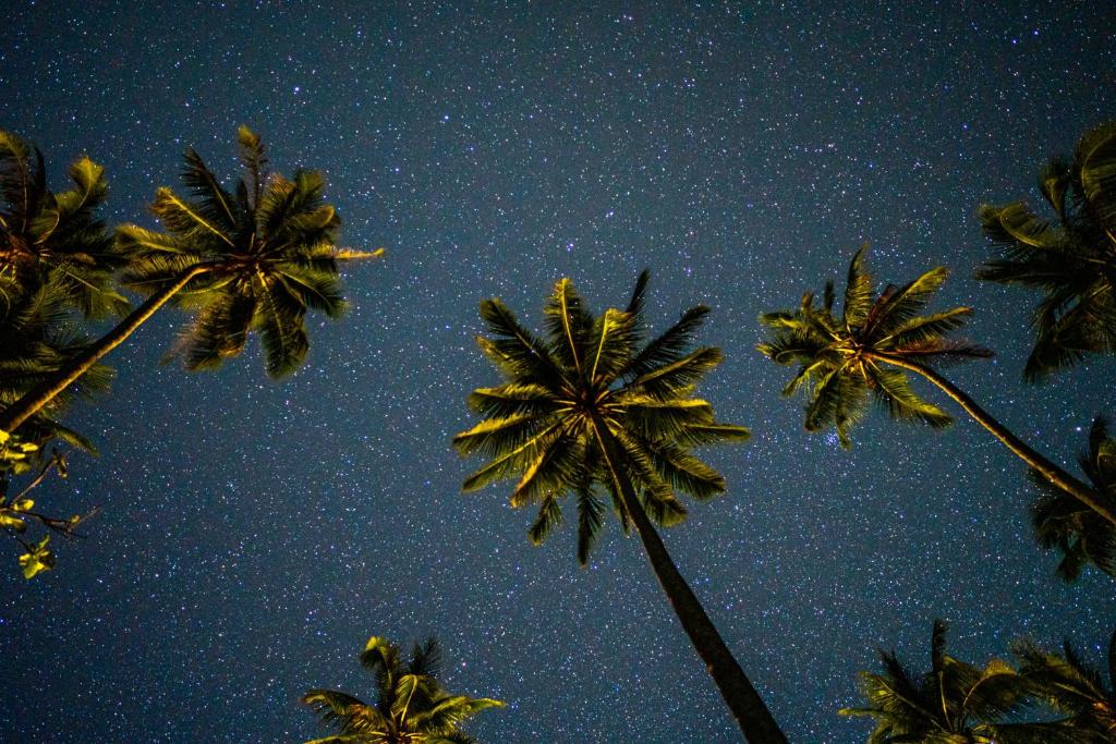 Fotografie z fotogalerie ubytování Amihan Beach Hostel v destinaci San Vicente