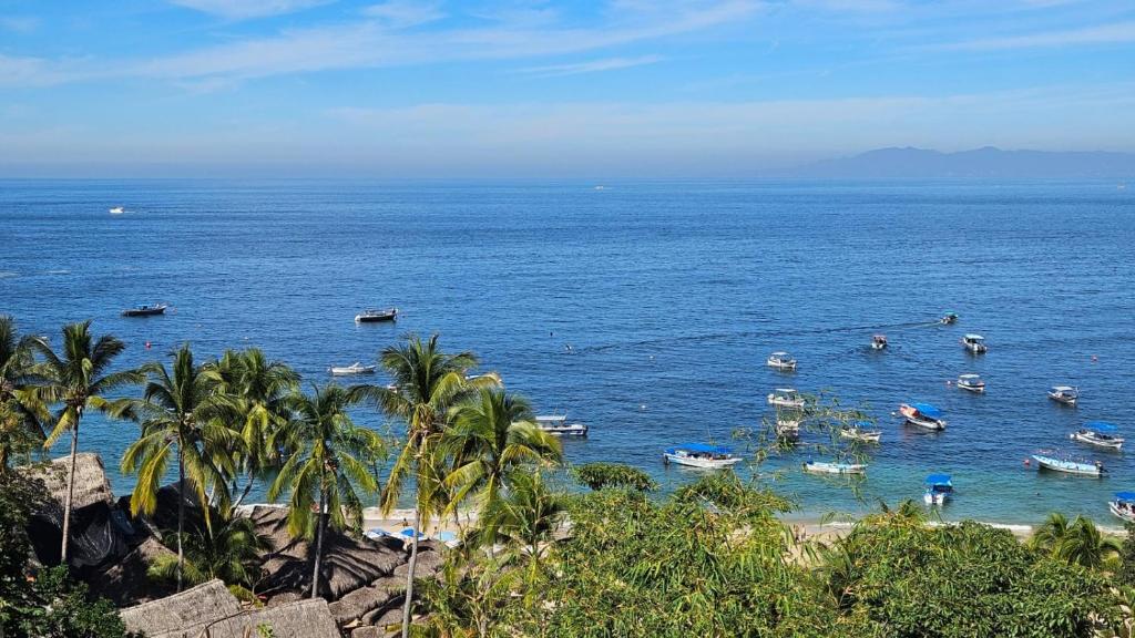 Paisatge natural a prop de la casa o xalet