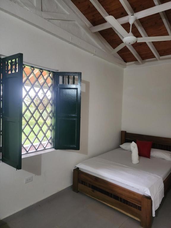 Finca la India Cerro Tusa