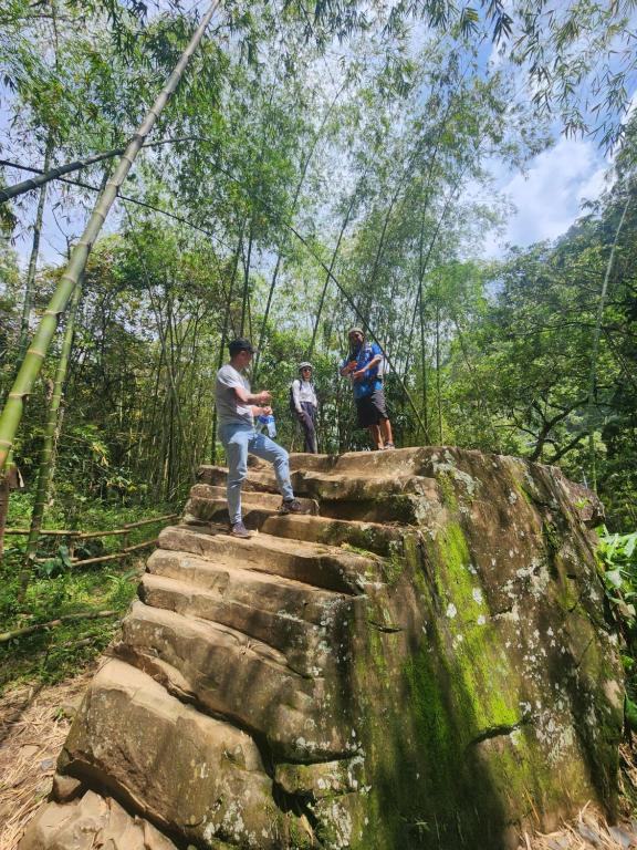 Finca la India Cerro Tusa