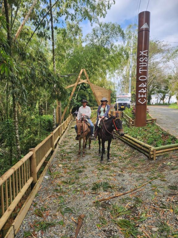 Finca la India Cerro Tusa