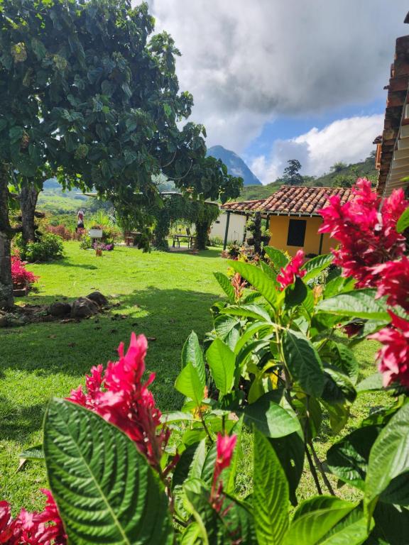 Finca la India Cerro Tusa