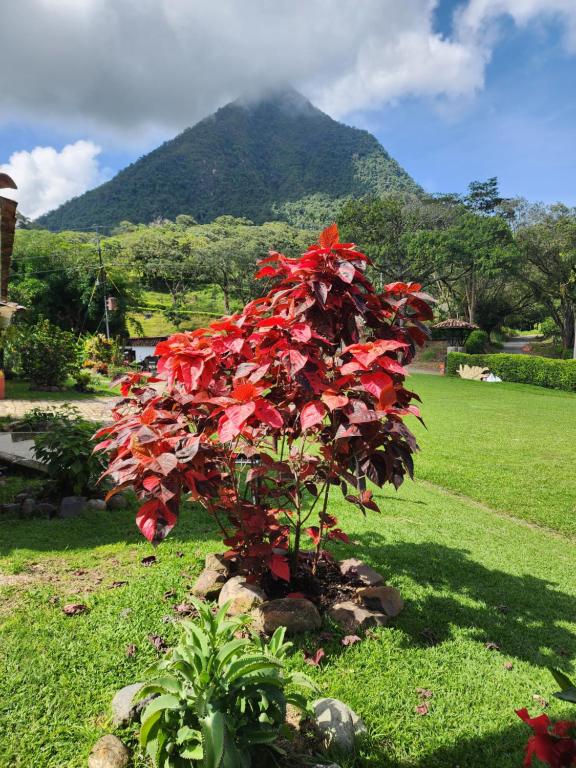 Finca la India Cerro Tusa