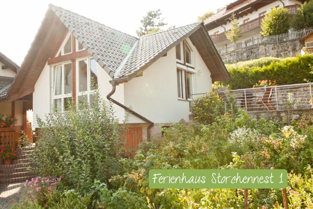 a house with a garden in front of it at Ferienwohnung Storchennest in Waldshut-Tiengen