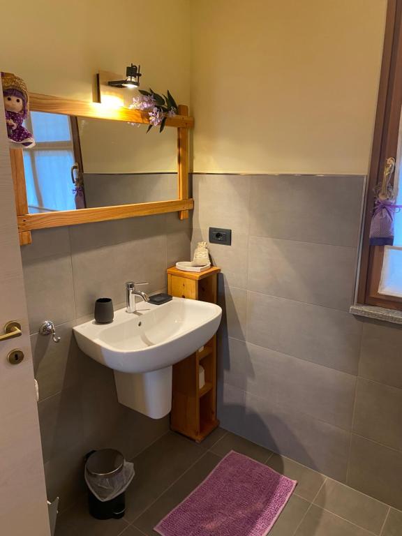 a bathroom with a sink and a mirror at Ranch Enbrucà in Boves
