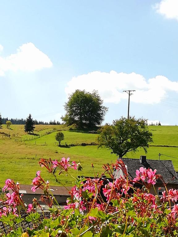Zahrada ubytování Am Lindenbaum, Ferienwohnung in Siebenbach am Nürburgring