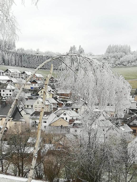 Am Lindenbaum, Ferienwohnung in Siebenbach am Nürburgring v zimě