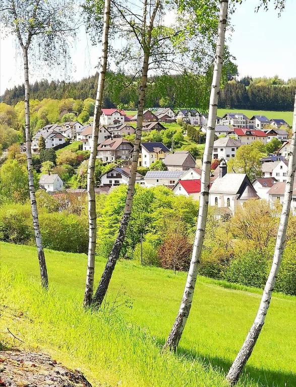 Příroda nedaleko apartmánu