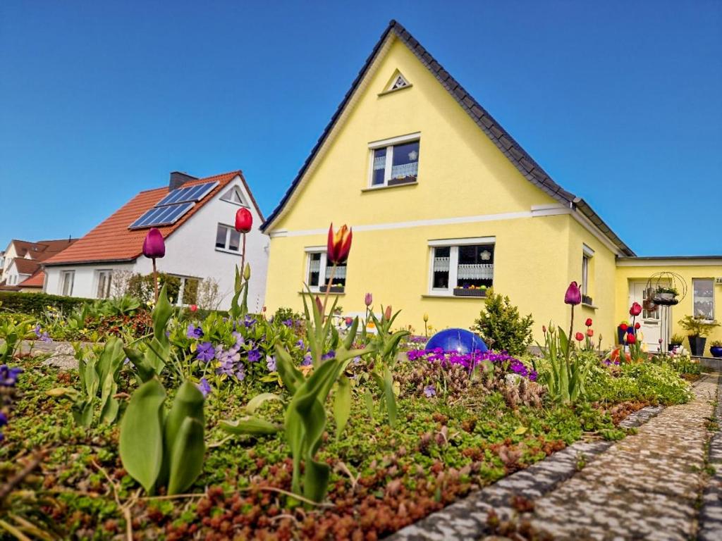 Κήπος έξω από το Ferienwohnung Zum Seepferdchen