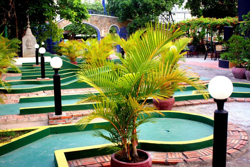 a group of palm trees in a courtyard with lights at The Magic Sponge in Kampot
