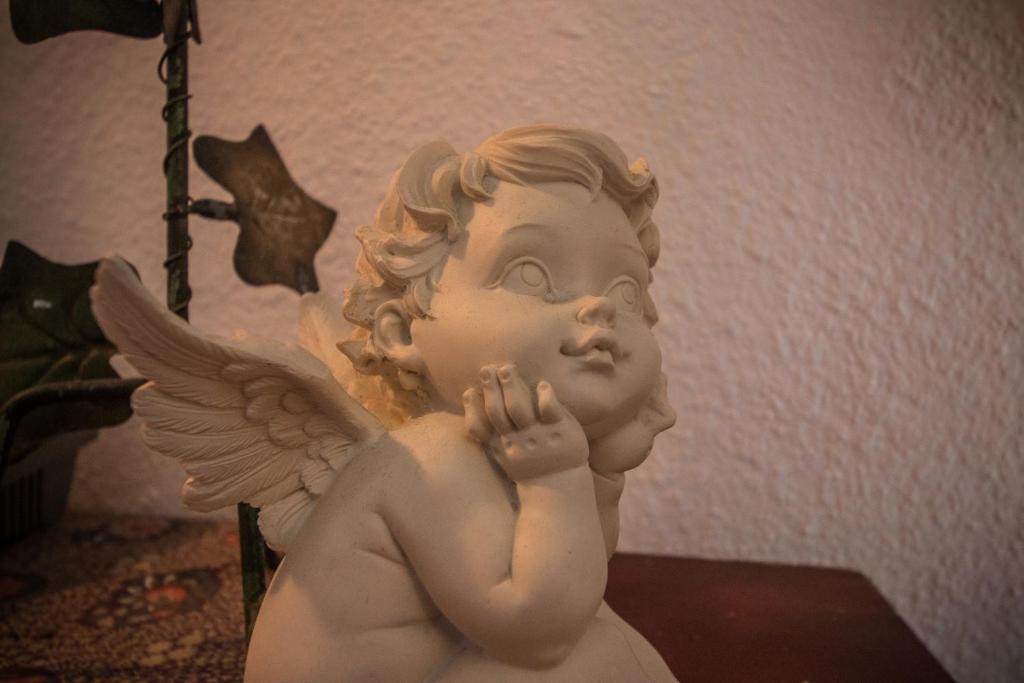 Gite l'Ame d'Antan – photo 29