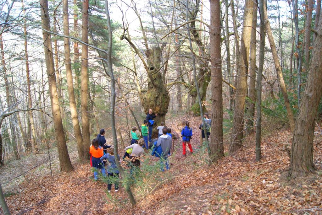 a group of people walking in the woods at Gîte La Grange in Saint-Laurent-dʼOlt