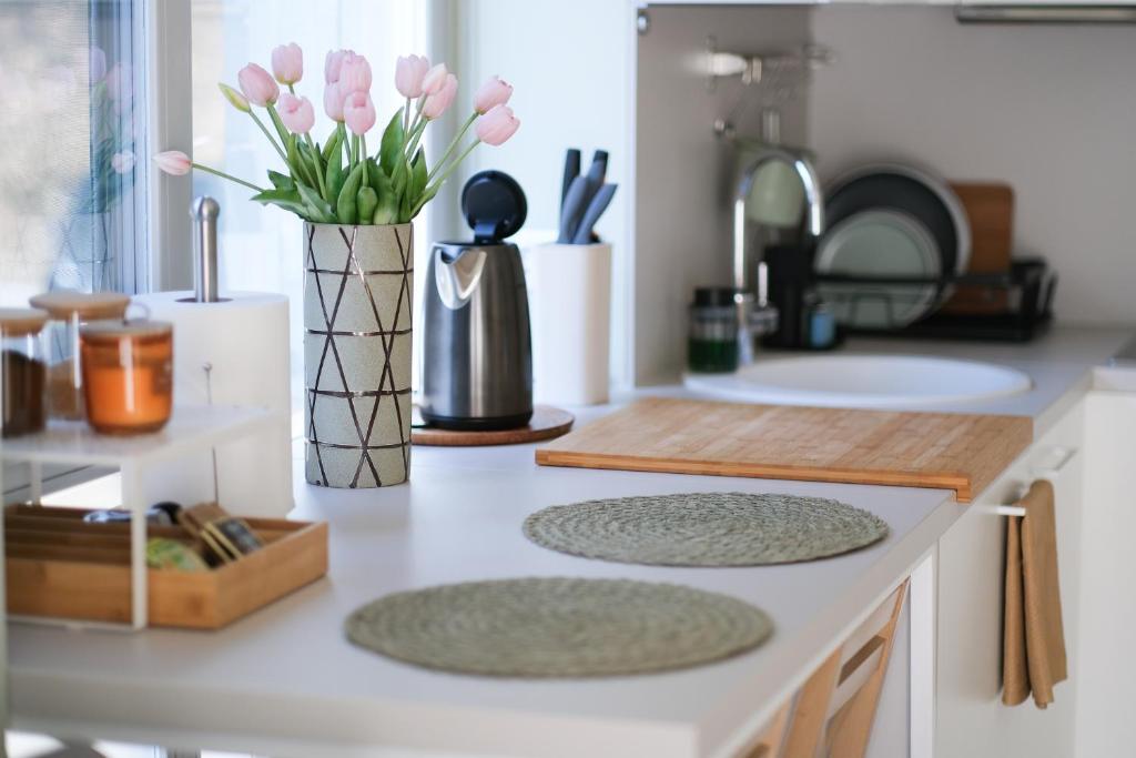 Kuchyň nebo kuchyňský kout v ubytování Neringarent STUDIO-APARTAMENTAI