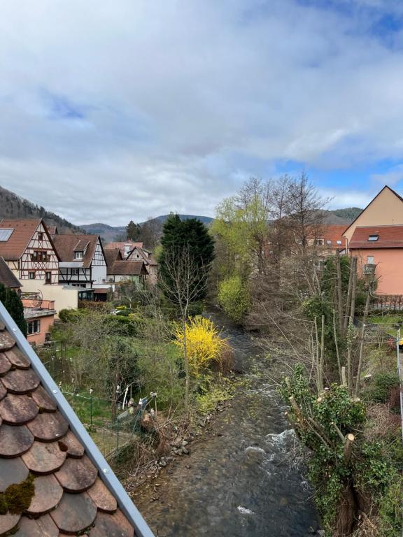 Gîte du Bien-Être – photo 37