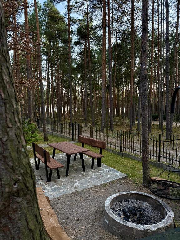 Ogród w obiekcie Domek w lesie nad zalewem