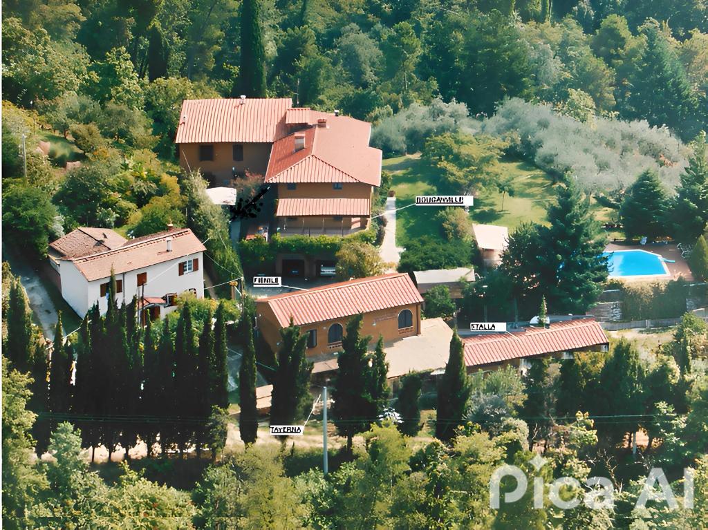 an aerial view of a house in a forest at IL CARNASCIALE PIEVE di CAMAIORE - Fienile in Camaiore