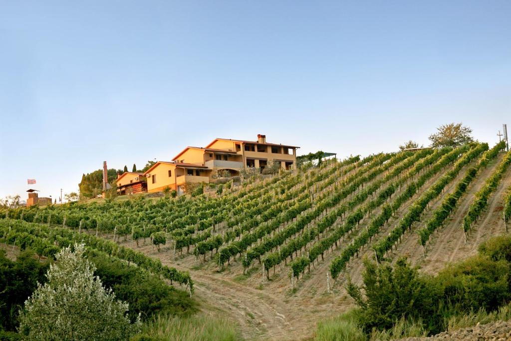 a vineyard with a house on top of a hill at Borgo Filicardo in Montespertoli