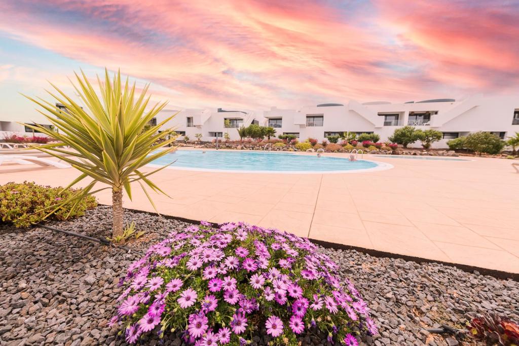 una piscina con palmeras y flores en Gran Descanso, en La Oliva