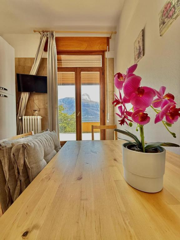 Táj az apartman közelében