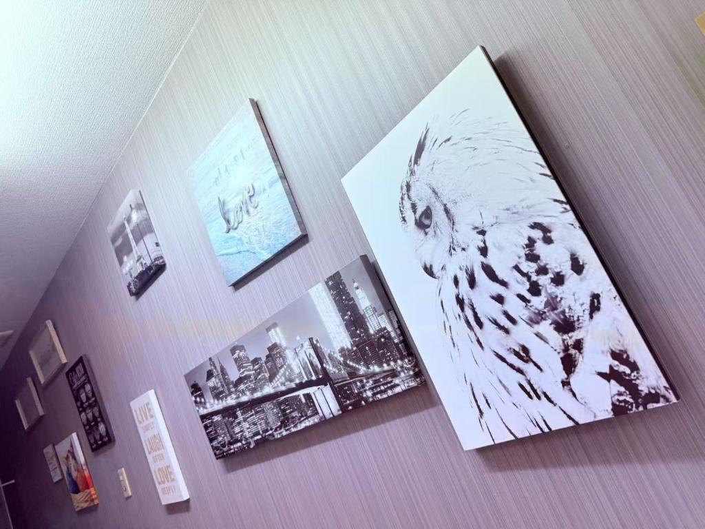 Fotografie z fotogalerie ubytování HOSTEL s v Osace