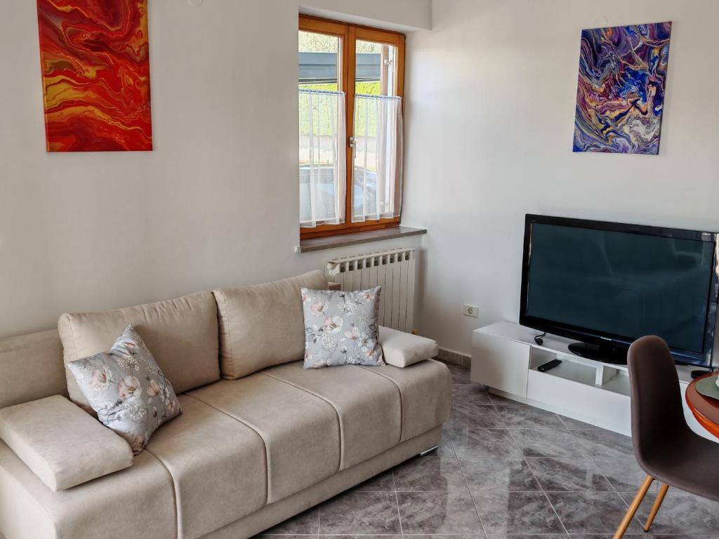 TV a/nebo společenská místnost v ubytování Apartma S&M