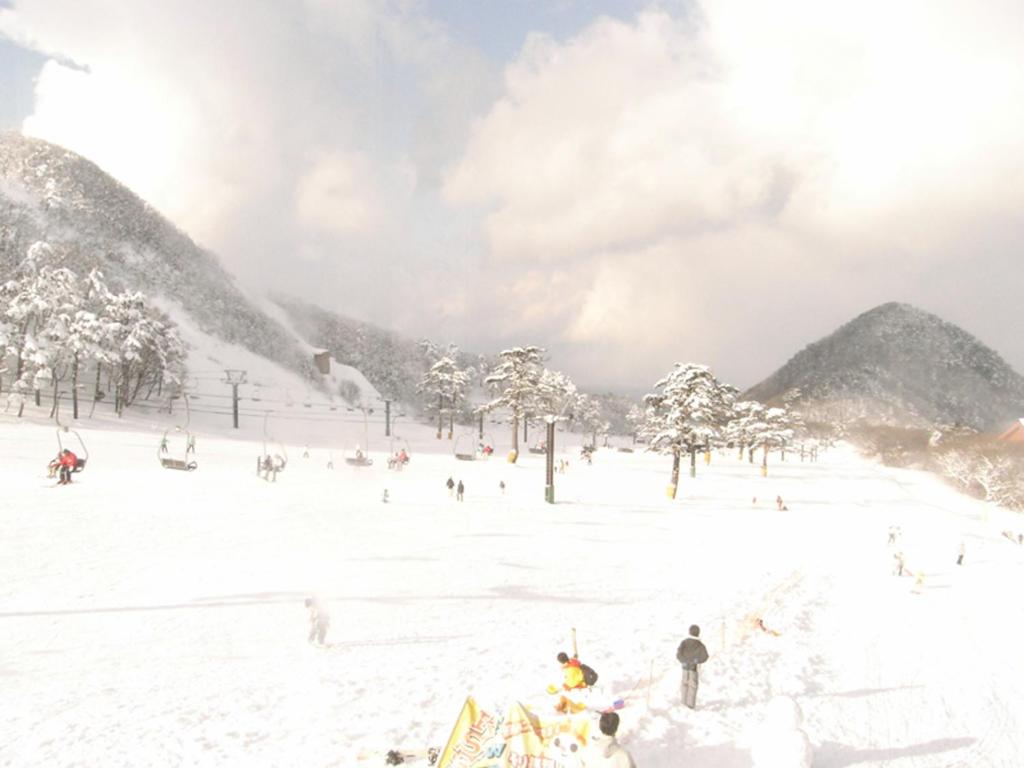 Daisen View Heights v zimě