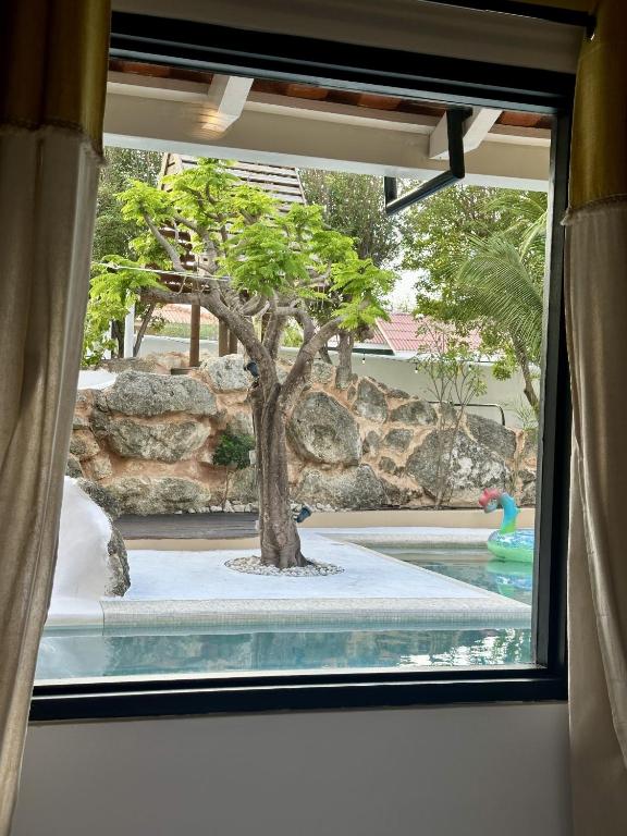 Fotografie z fotogalerie ubytování Yemaya Guesthouse Curaçao v destinaci Willemstad